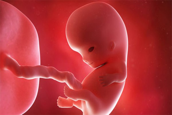 Fetal Gelişme Geriliği